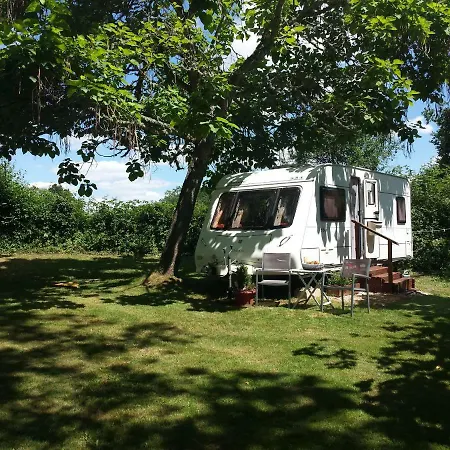 Belle Vue